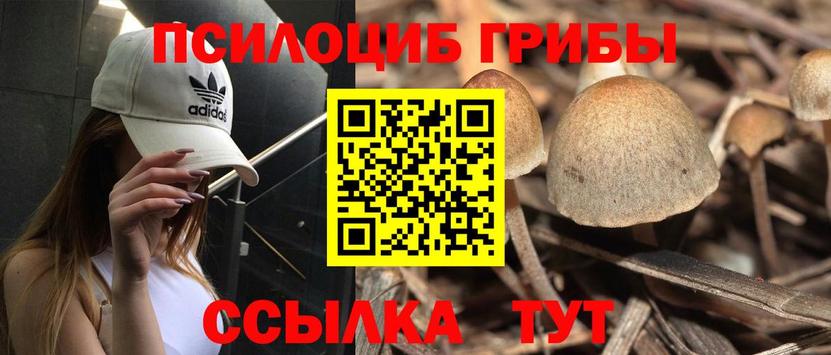 Псилоцибиновые грибы MAGIC MUSHROOMS Крымск